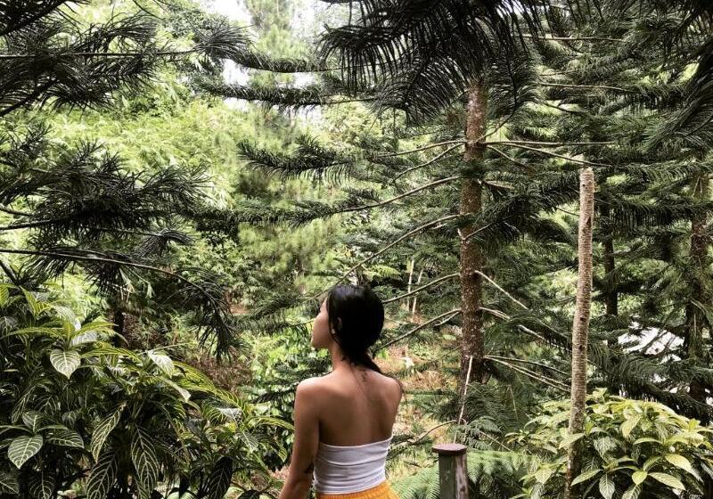 Fig Tree Hills Resort