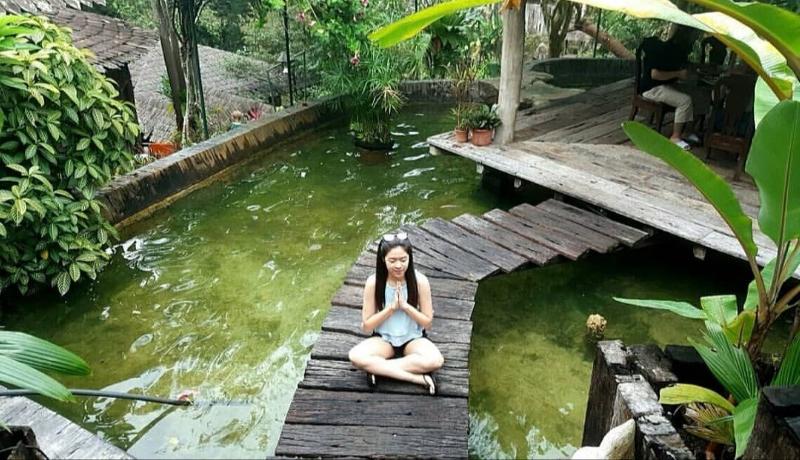 Fig Tree Hills Resort