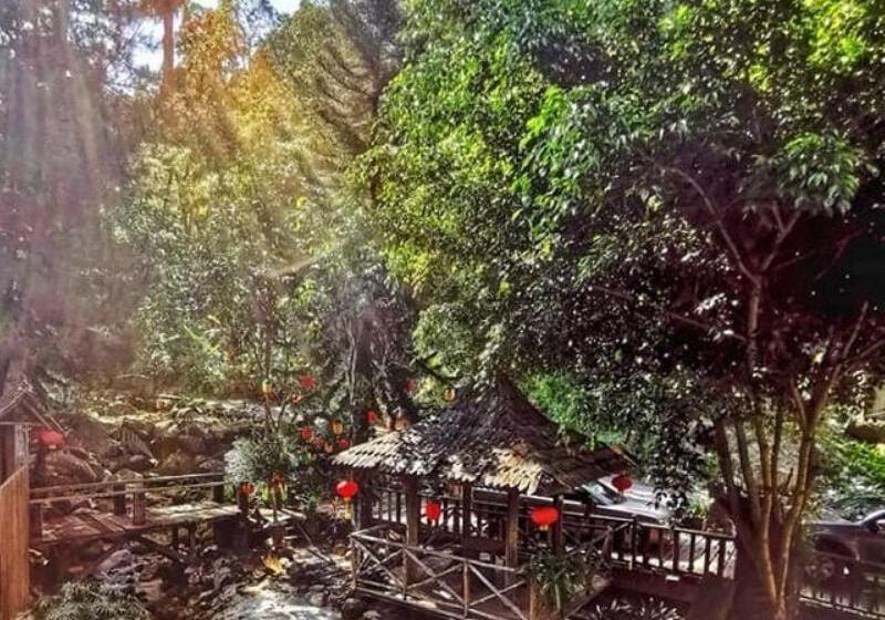 Fig Tree Hills Resort