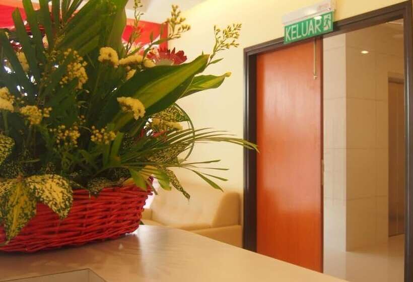 118 Hotel Macalister