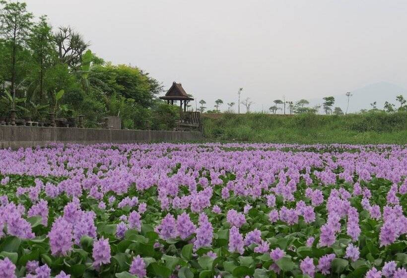 هتل Beautiful Yilan Resort