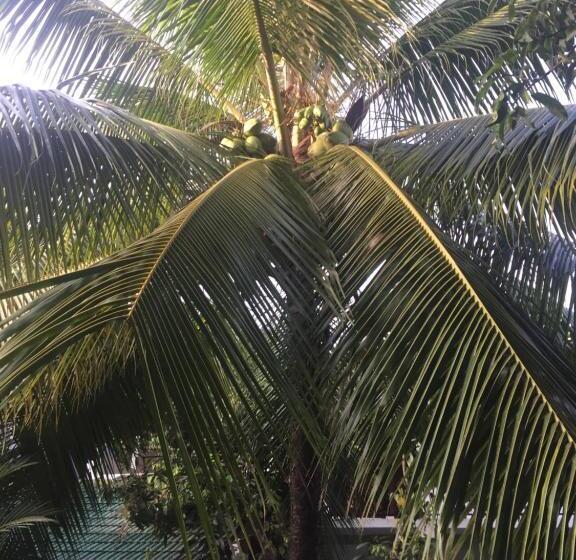 酒店 Damith Guest House