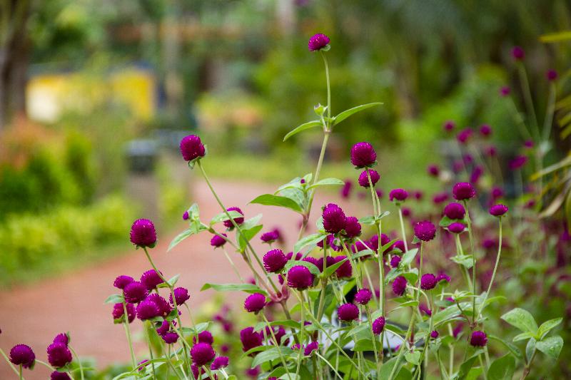 هتل Elwood Premier Resort Phu Quoc