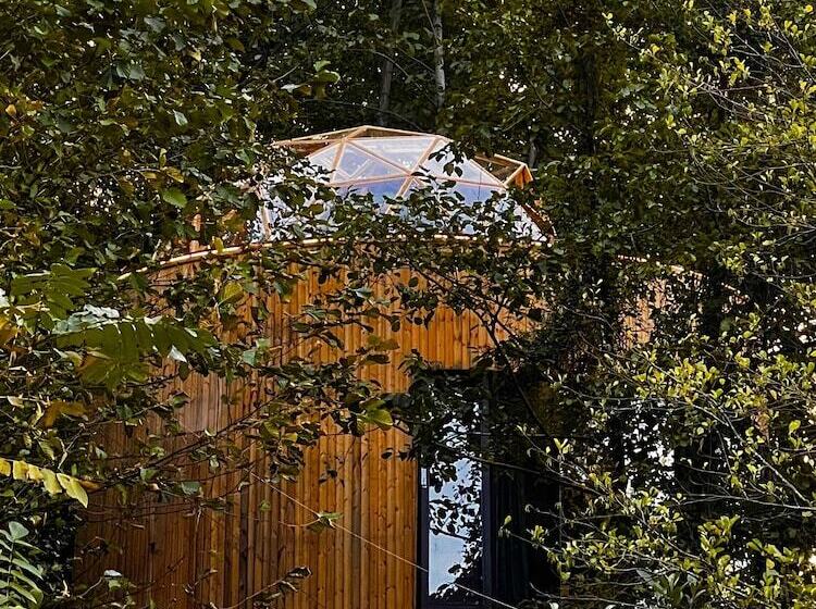 هتل Glamping Martini Kvariati