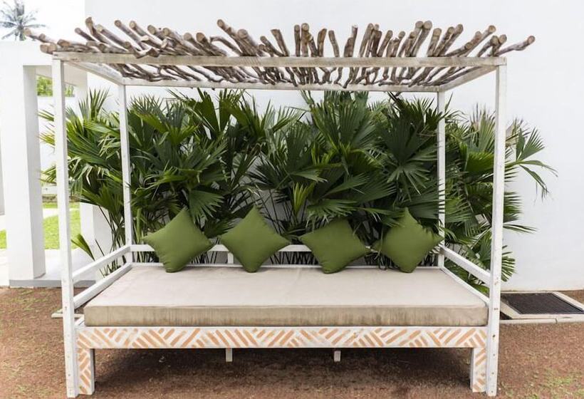 Отель Global Surf Lodge Kabalana