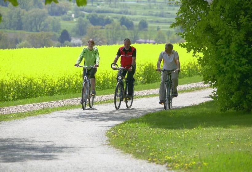 Отель Glockenspiel