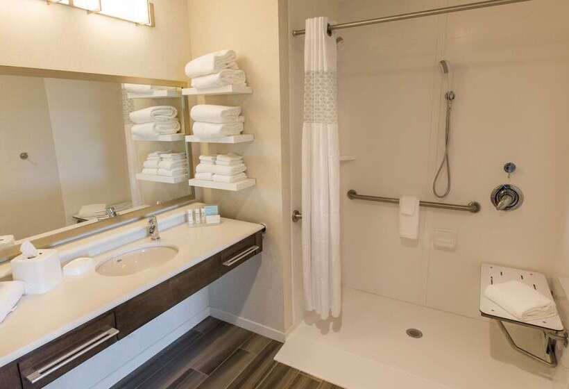 ホテル Hampton Inn & Suites Charlotte/ballantyne