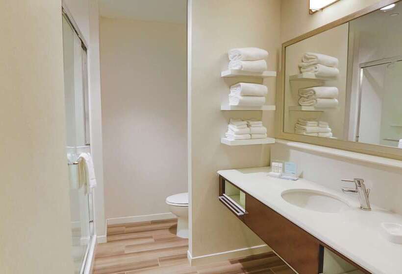 ホテル Hampton Inn & Suites Charlotte/ballantyne