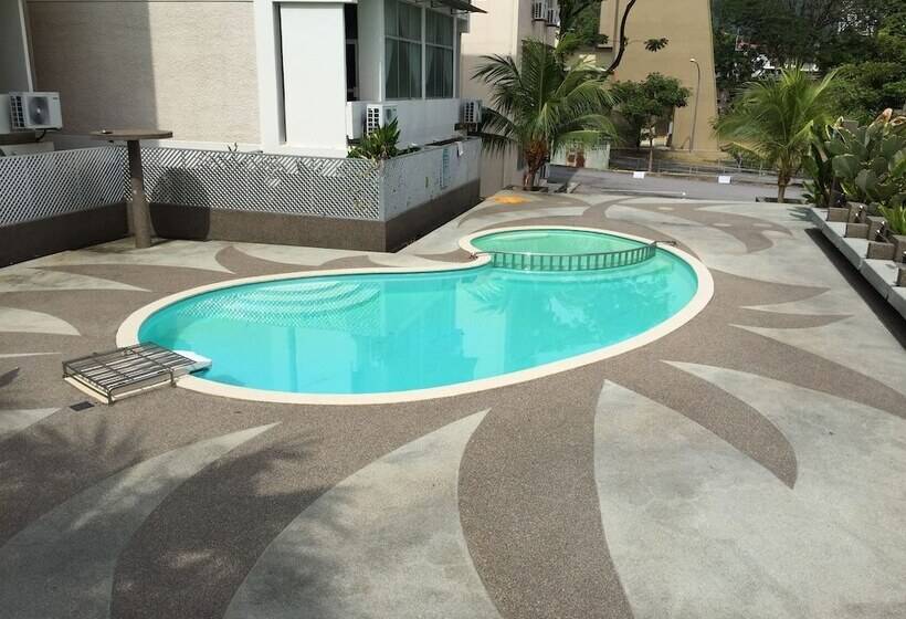 בית מלון כפרי International House