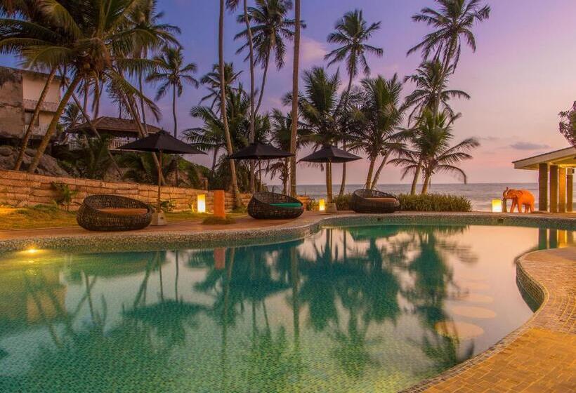 בית מלון כפרי J Ambalangoda