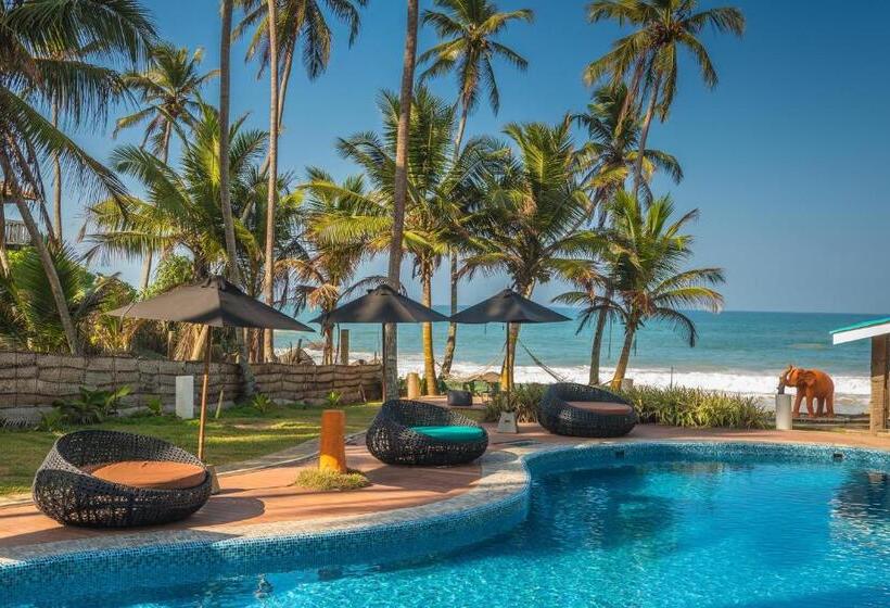 בית מלון כפרי J Ambalangoda