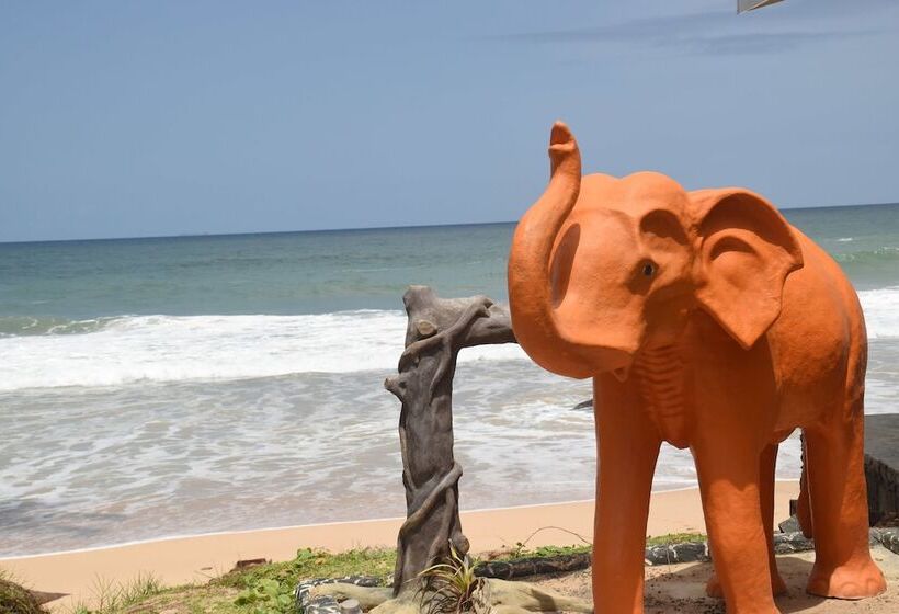 בית מלון כפרי J Ambalangoda