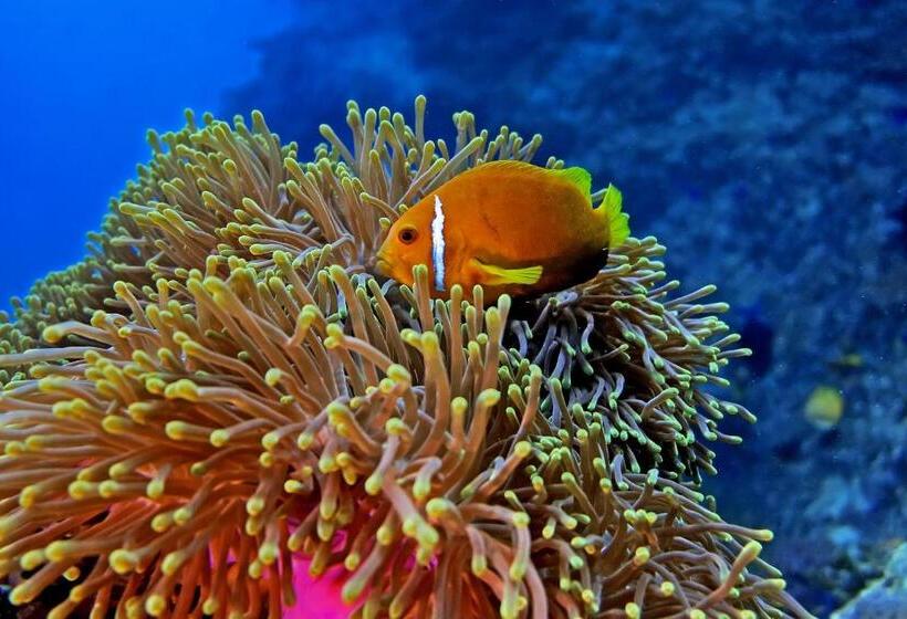 هتل Kaani Village & Spa