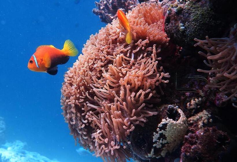 هتل Kaani Village & Spa