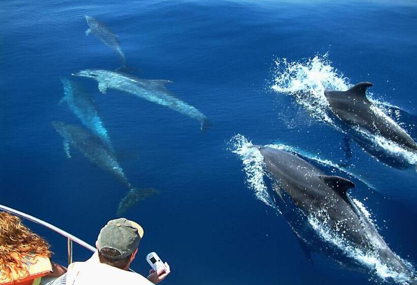 هتل Kaani Village & Spa