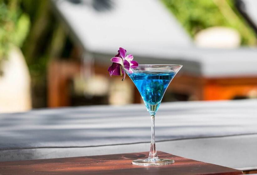 هتل La Paloma Resort