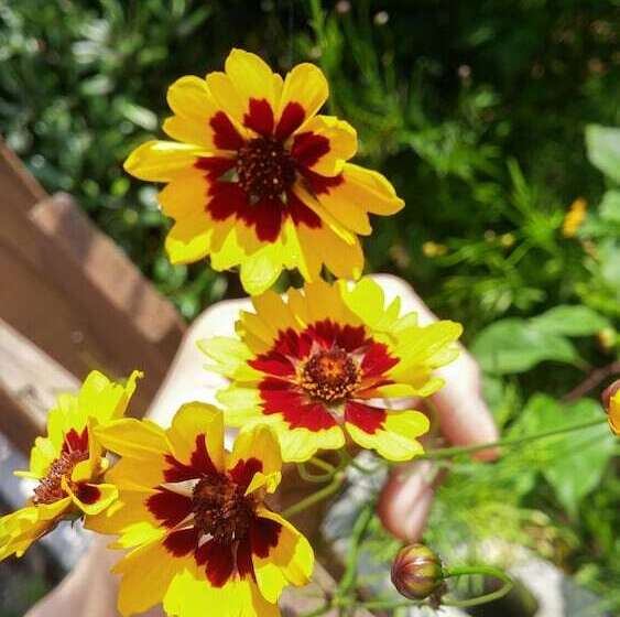 فندق Namhae Neuhaus