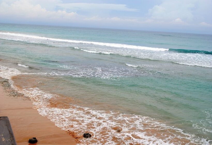 בית מלון כפרי Ocean Reef