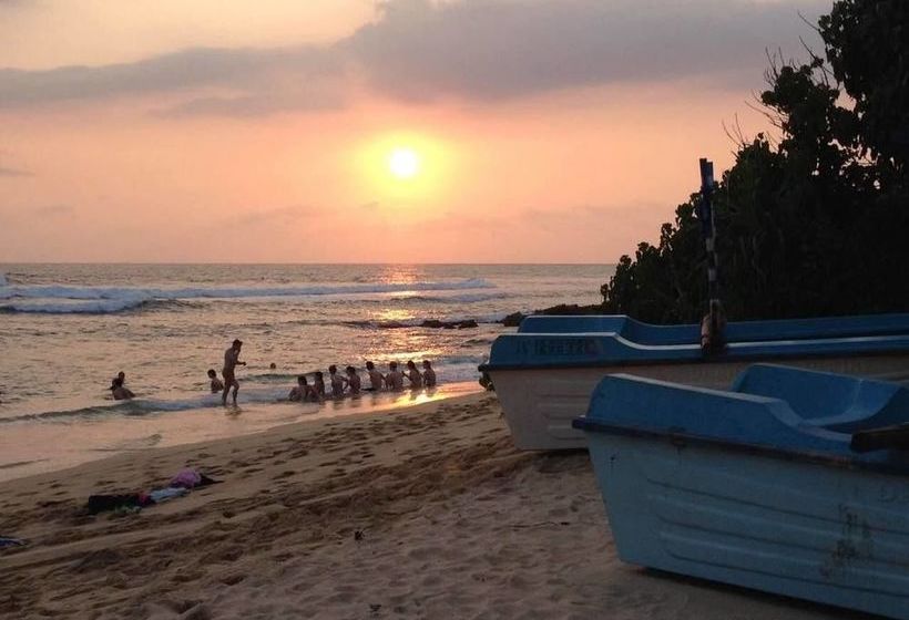 Отель Sayurima Tourist