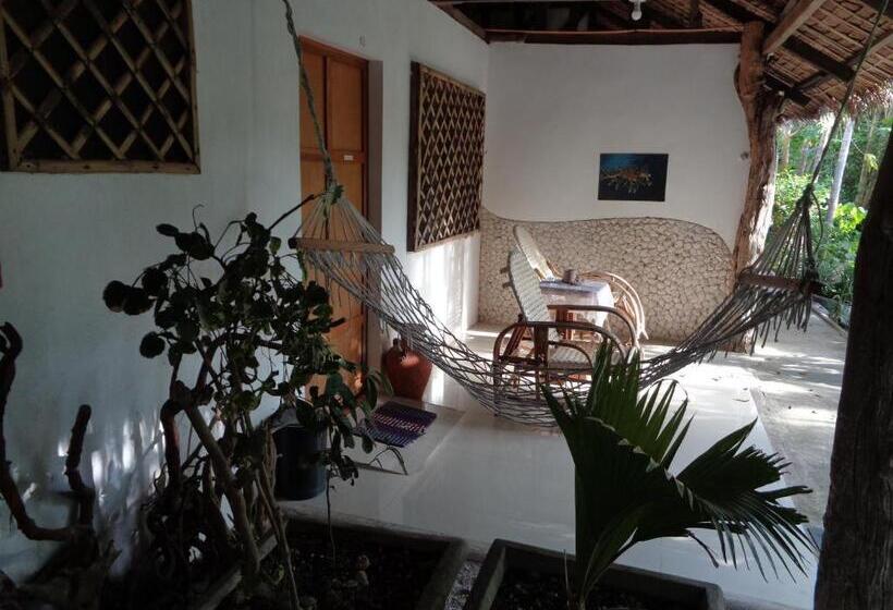 هتل Sea Turtle House