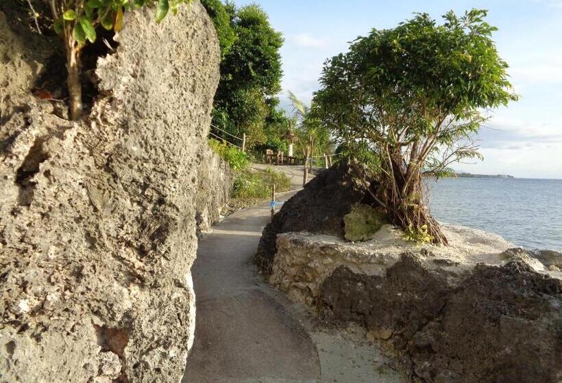 هتل Sea Turtle House