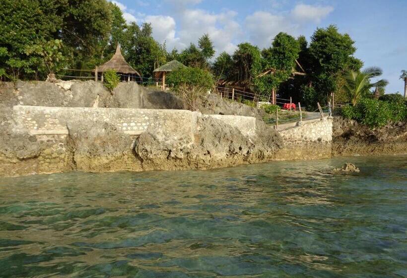 هتل Sea Turtle House