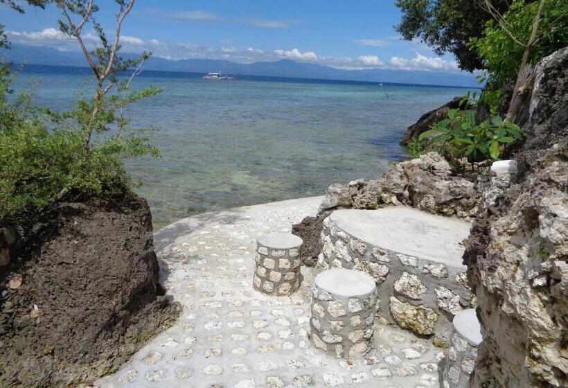 هتل Sea Turtle House