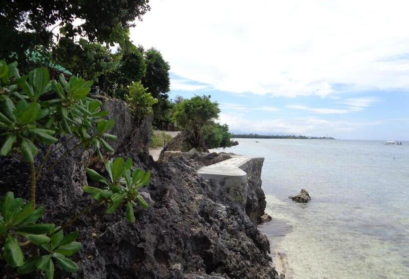 هتل Sea Turtle House