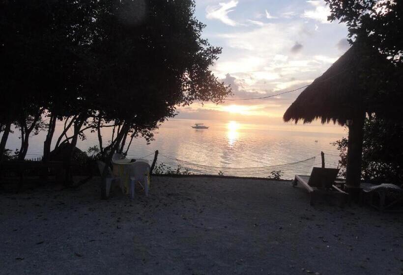 هتل Sea Turtle House