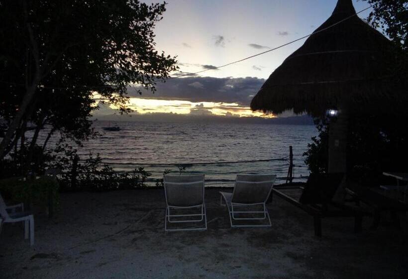 هتل Sea Turtle House