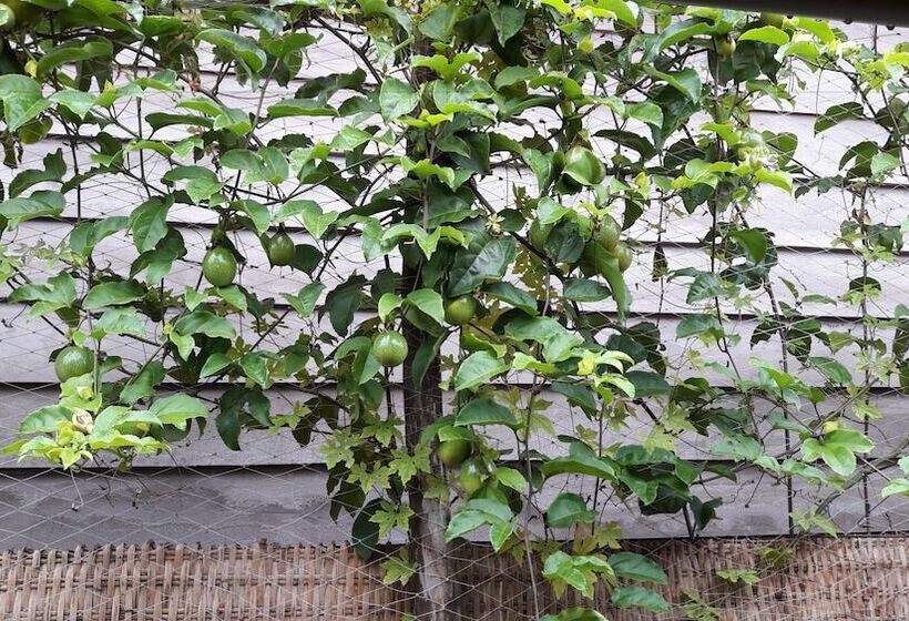 هتل Seaside Villa