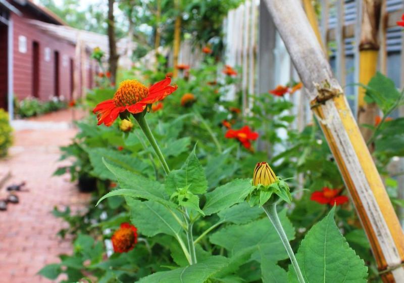 هتل Seaside Villa