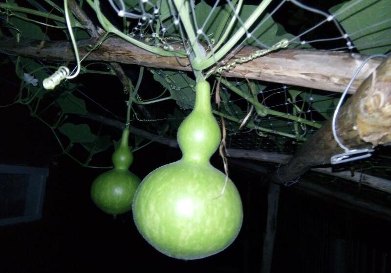 هتل Seaside Villa