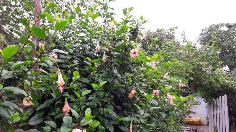 هتل Seaside Villa