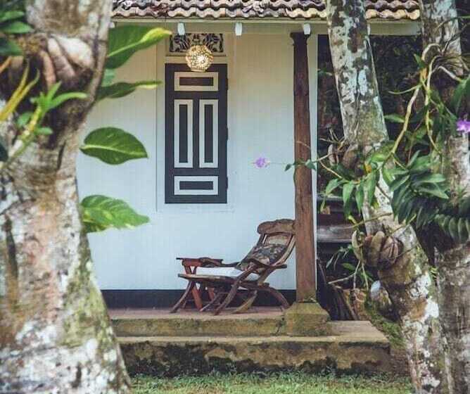 호텔 Templeberg Villa