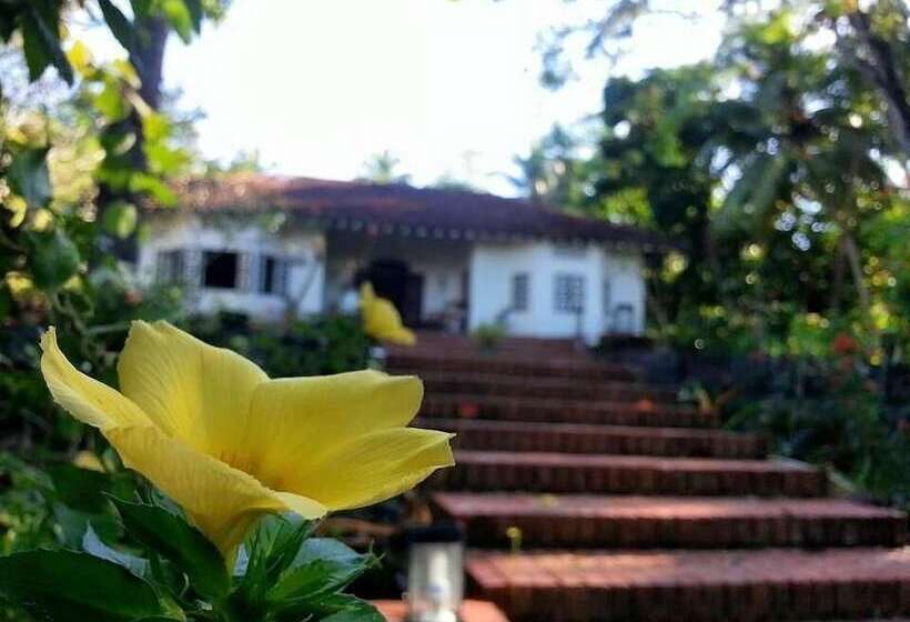 호텔 Templeberg Villa