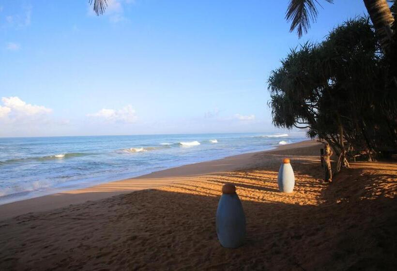 Отель Thejan Beach Cabanas