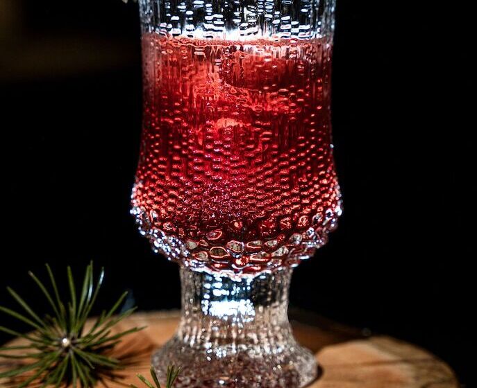 Wilderness Hotel Juutua