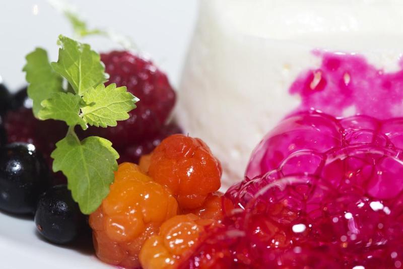 Wilderness Hotel Juutua