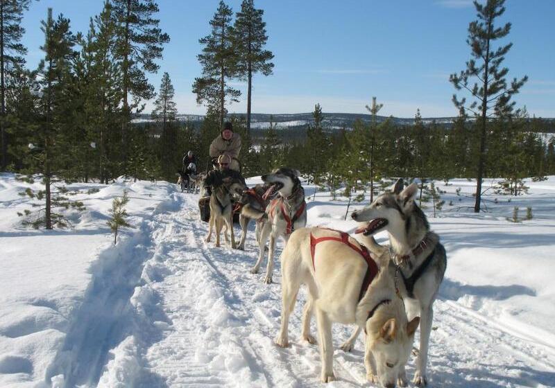 Wilderness Hotel Juutua