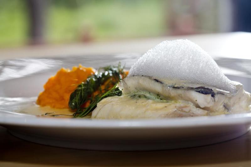 Wilderness Hotel Juutua