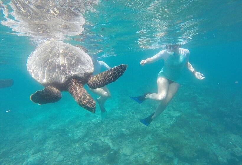 هتل White Sand Lodge