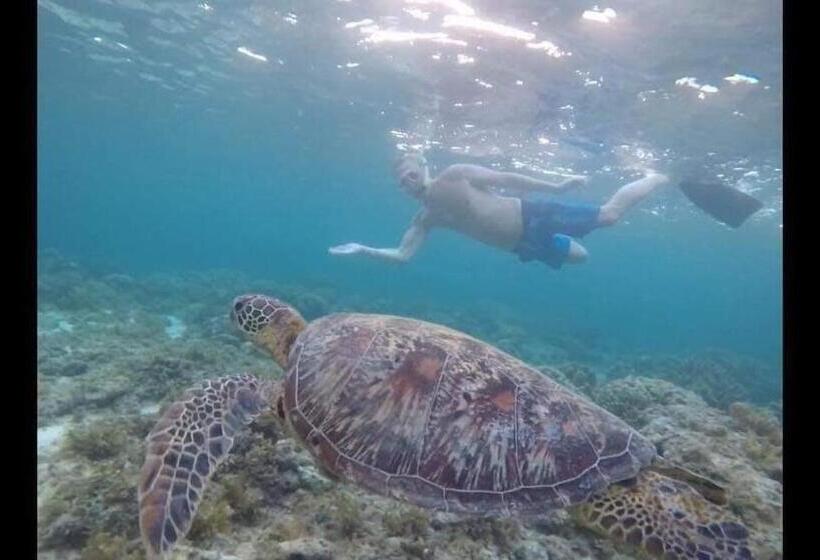 Moalboal T Breeze Coastal Resort