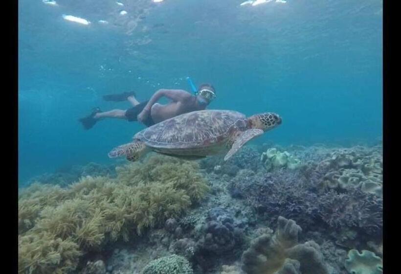 Moalboal T Breeze Coastal Resort