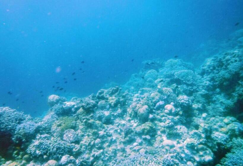 Moalboal T Breeze Coastal Resort