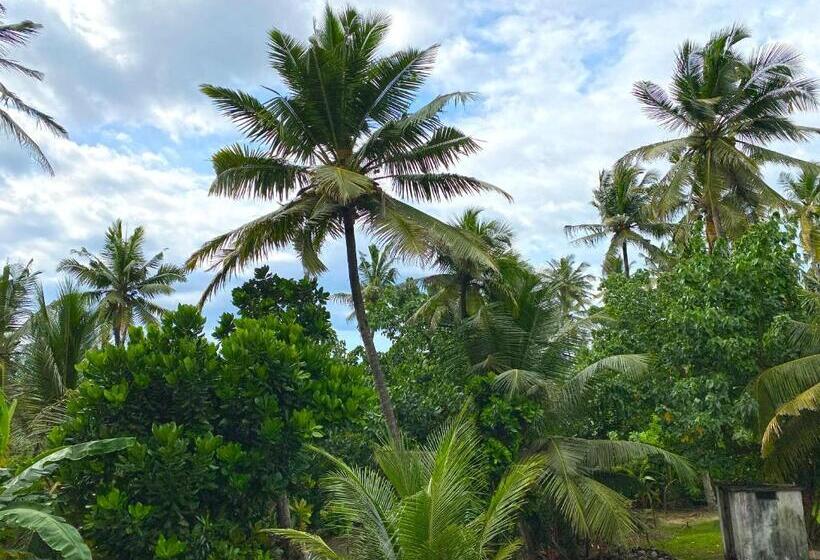 Пансион Asanka Surf House & Resturant