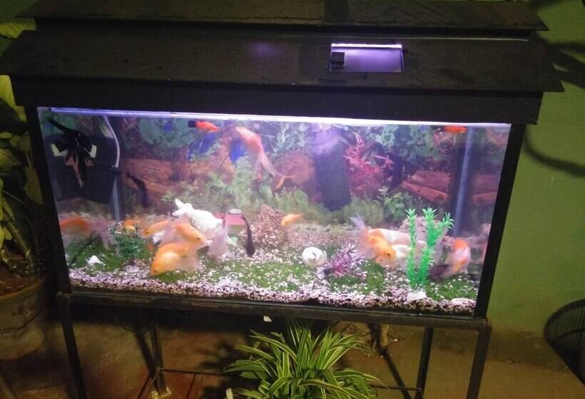 膳宿费 Sk House Resort Unawatuna