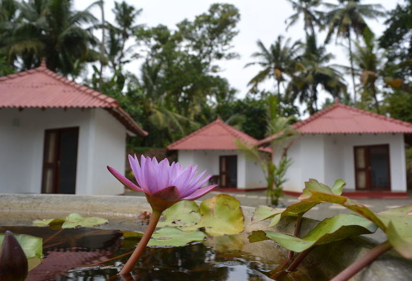 ペンション Lagoon Resort Goviyapana