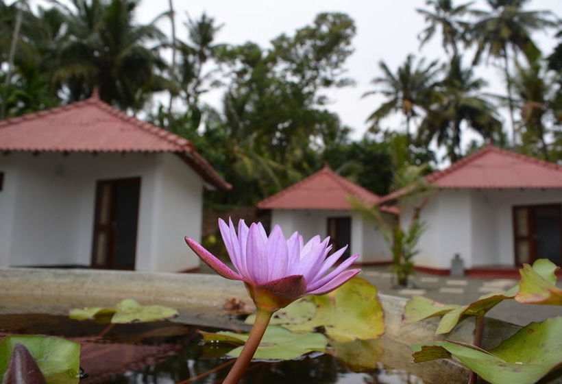 ペンション Lagoon Resort Goviyapana