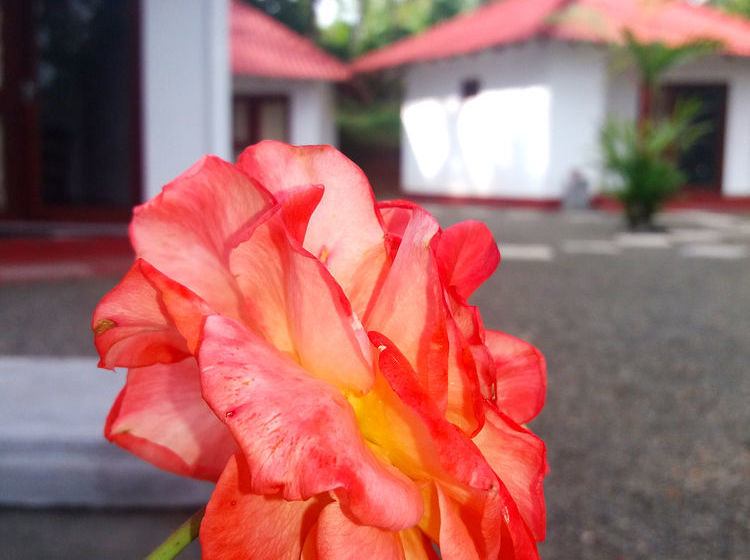 ペンション Lagoon Resort Goviyapana